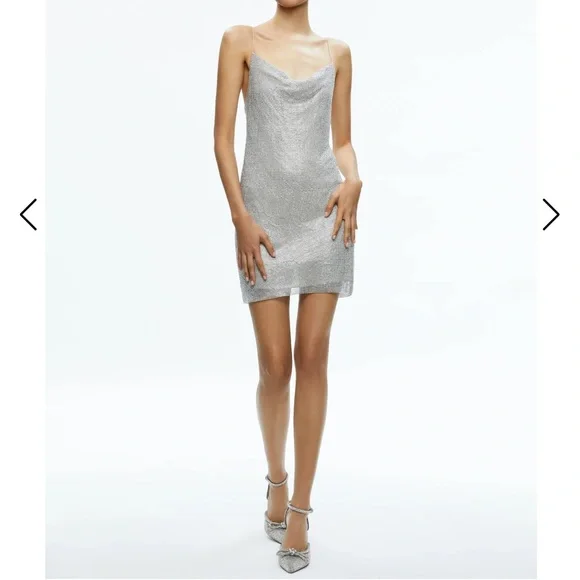 キラキラ!【Alice+Olivia】HARMONY クリスタル スリップドレス Alice + Olivia | Dresses | New Alice Olivia Harmony Crystal